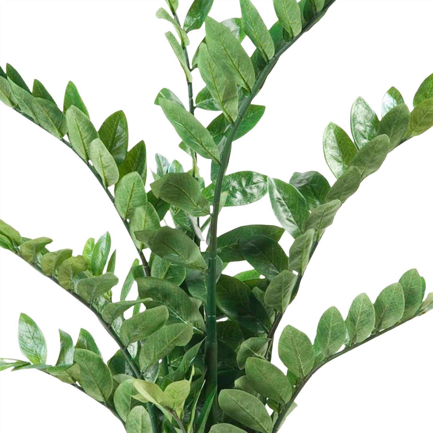 Artificial Plant - Zamioculcas - House Palm - 110 cm