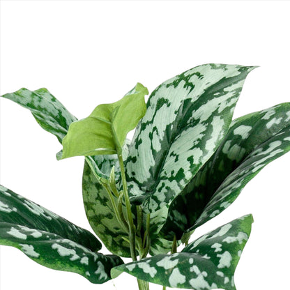 Artificial Plants - Scindapsus Pictus - Lucky plant - 30 cm