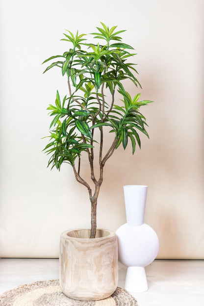 Artificial Tree - Dracaena - Dragon Tree - 130 cm up to 155 cm