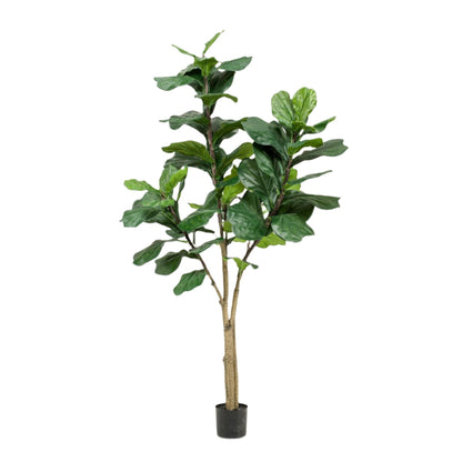 Kunstplant - Ficus Lyrata - Tabaksplant - 180 cm