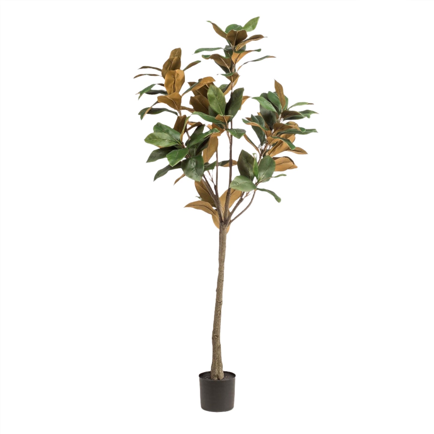 Árbol de magnolia artificial Grandiflora - 150 cm