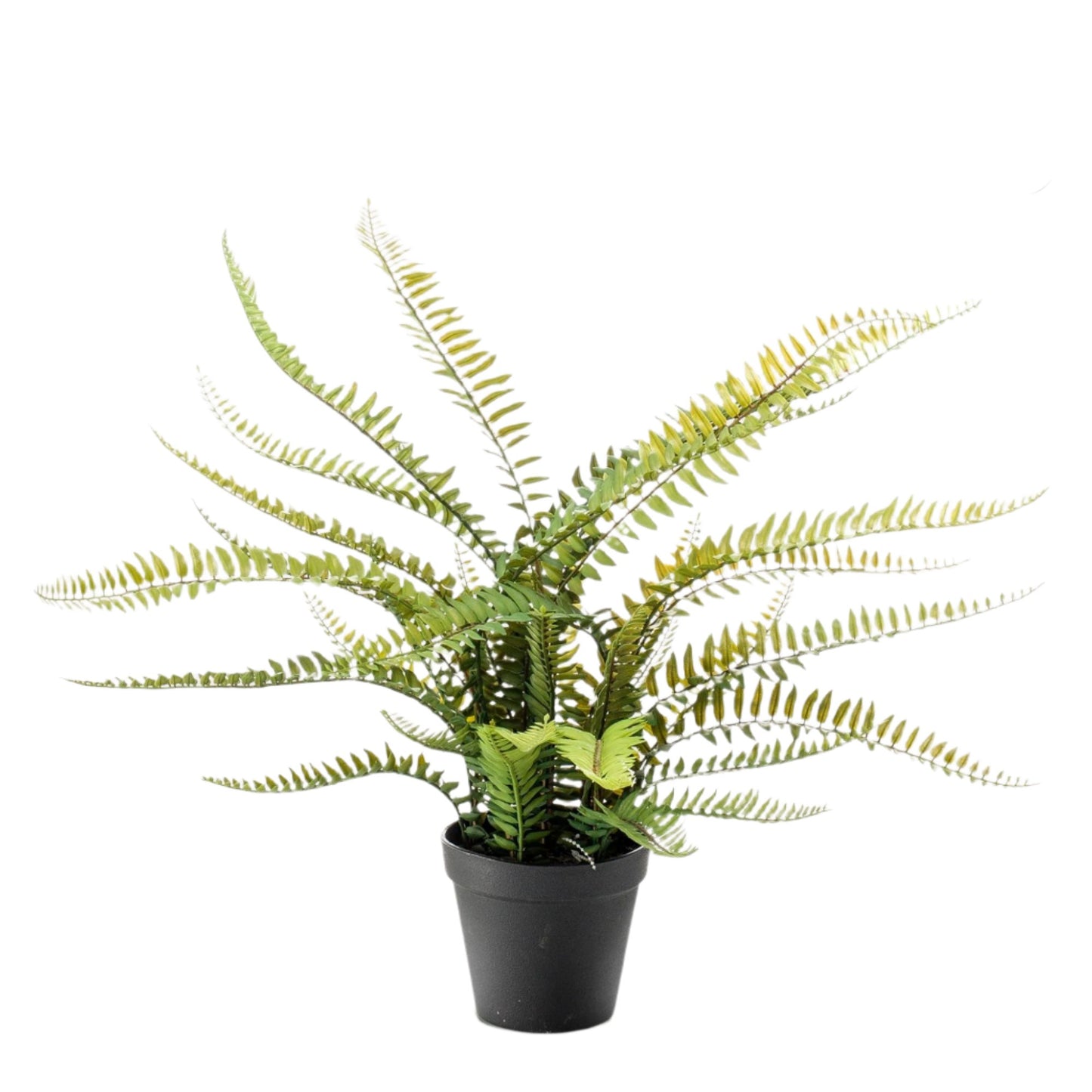 Artificial plant - Nephrolepis Exaltata - Boston Fern - 55 cm