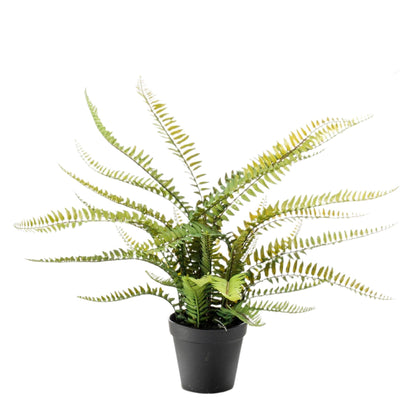 Artificial plant - Nephrolepis Exaltata - Boston Fern - 55 cm