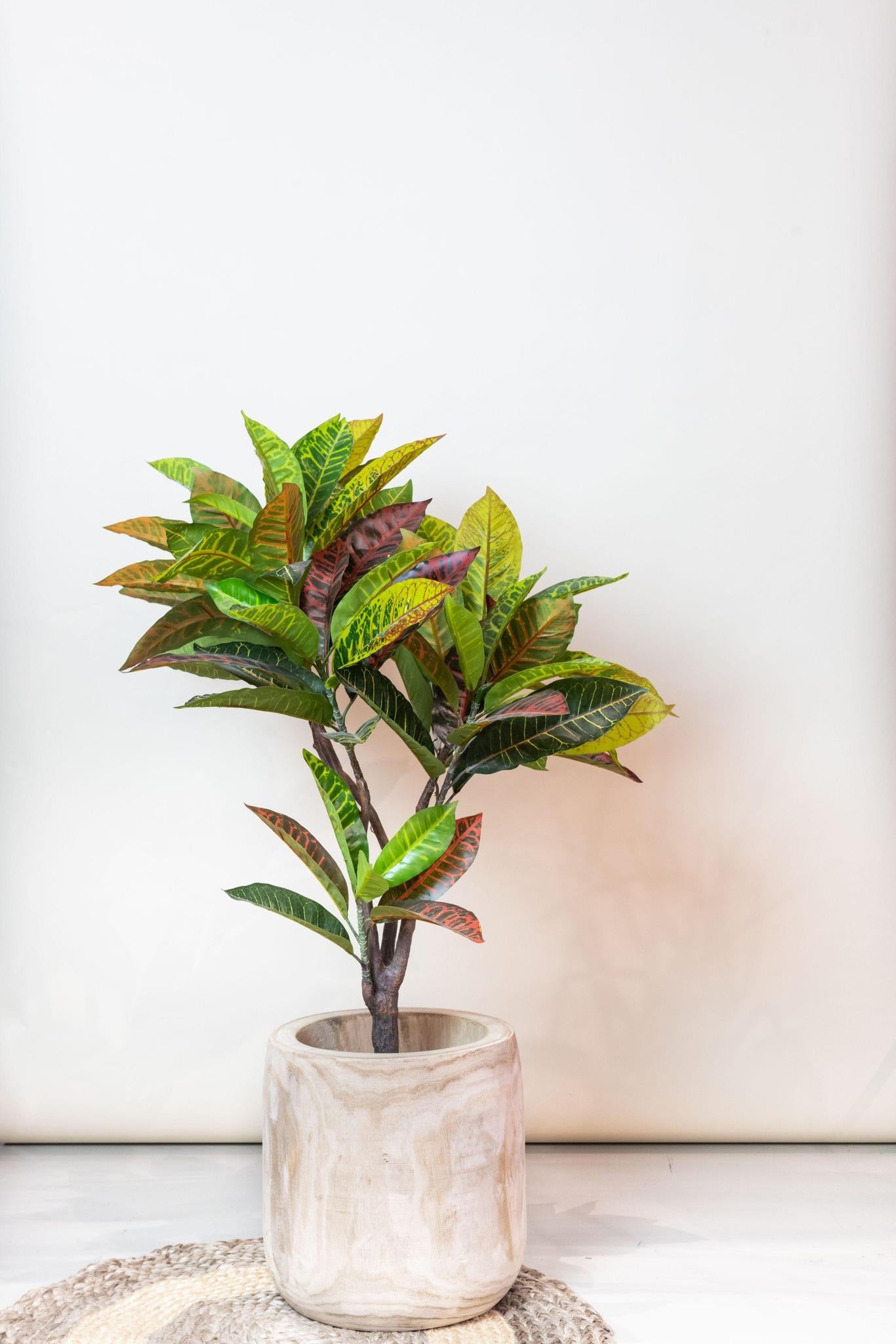 Planta artificial - Croton Codiaeum - Wonder Bush - 100 cm