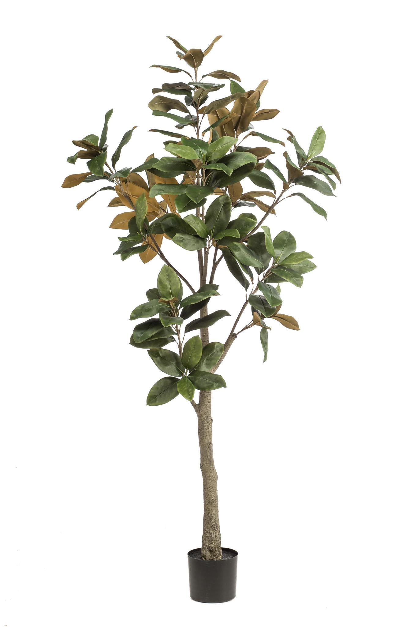 Artificial Tree - Magnolia Grandiflora - 180 cm