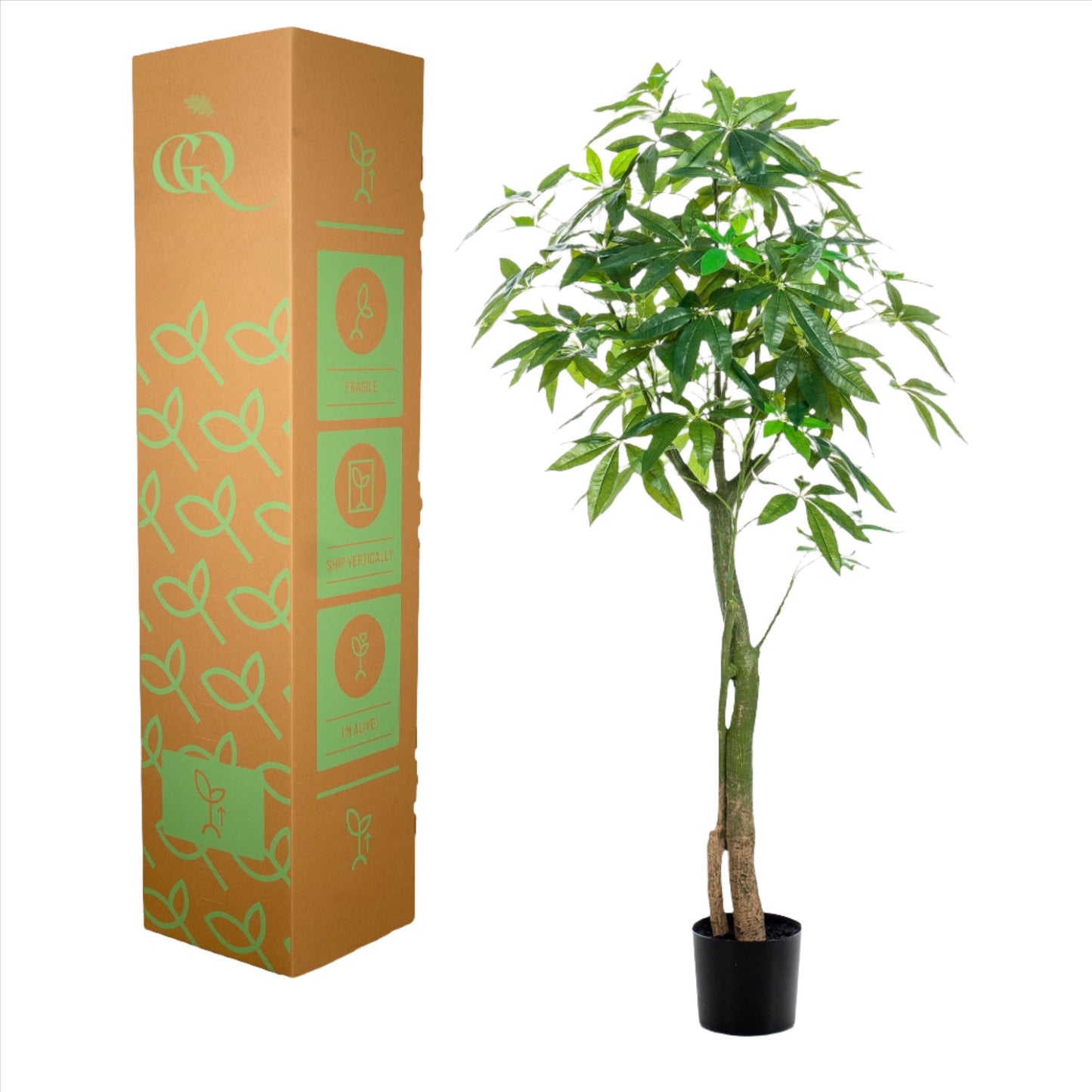 Artificial Tree - Pachira Aquatica - Money Tree - 150 cm up to 180 cm