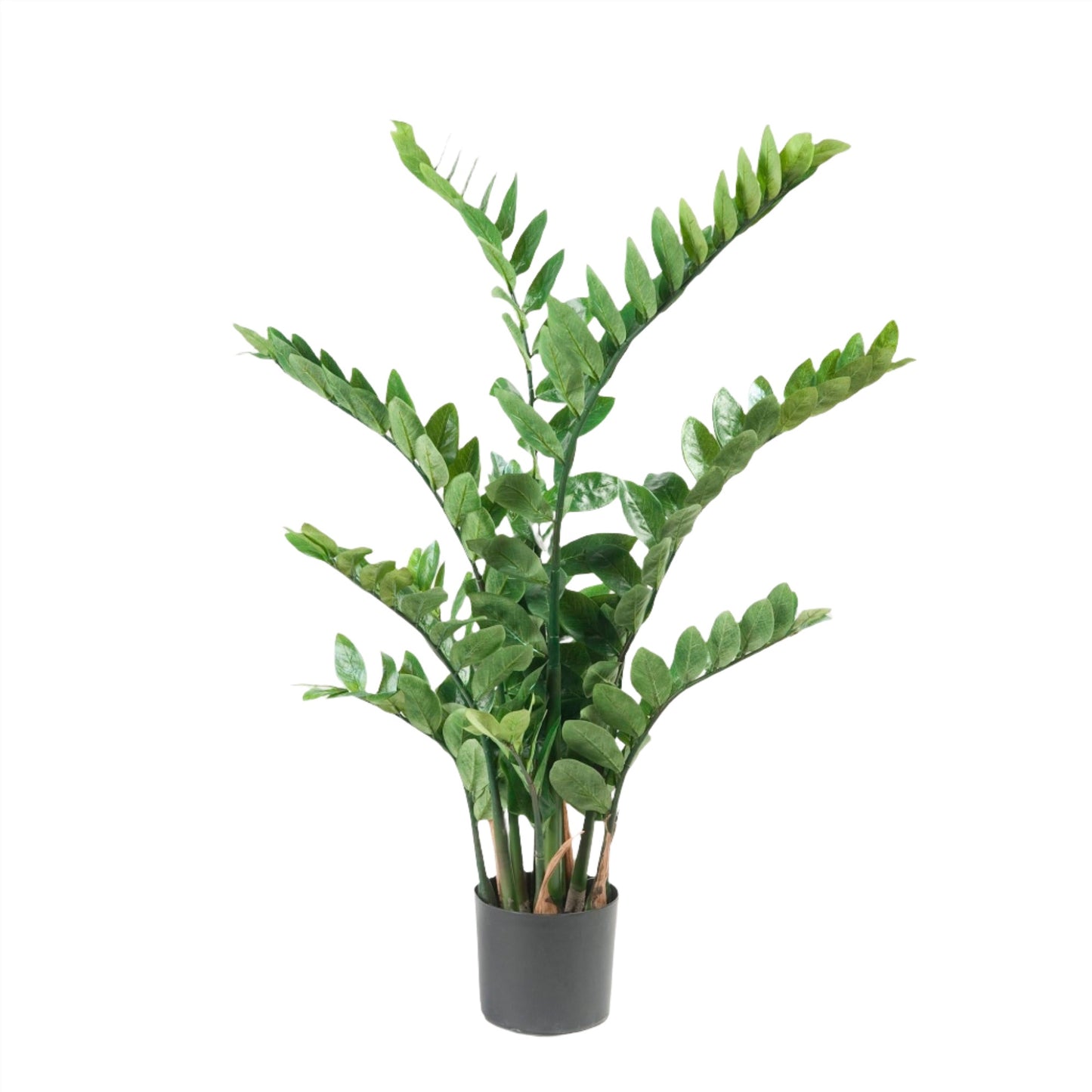 Artificial Plant - Zamioculcas - House Palm - 110 cm