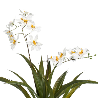 Artificial Orchid Plant - White - 45cm