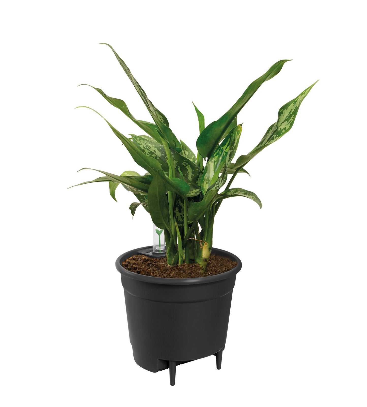 Self Watering Insert - 33 cm