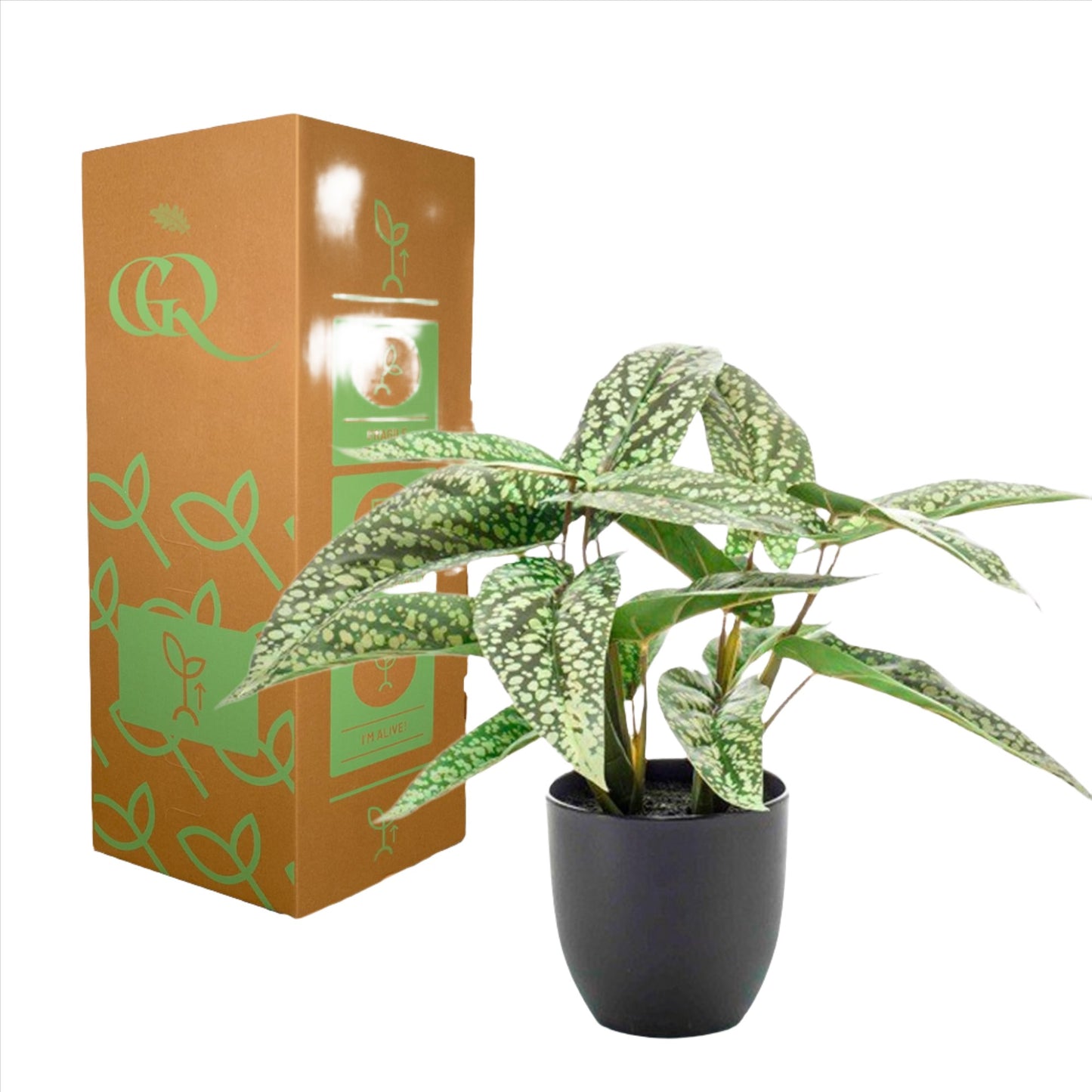 Artificial Plant - Calathea Dots - Schadow Plant - 38 cm