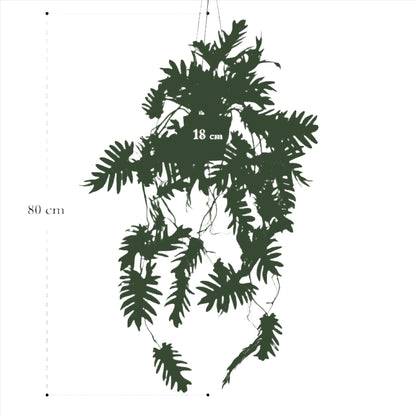 Kunstplant - Philodendron - 80 cm