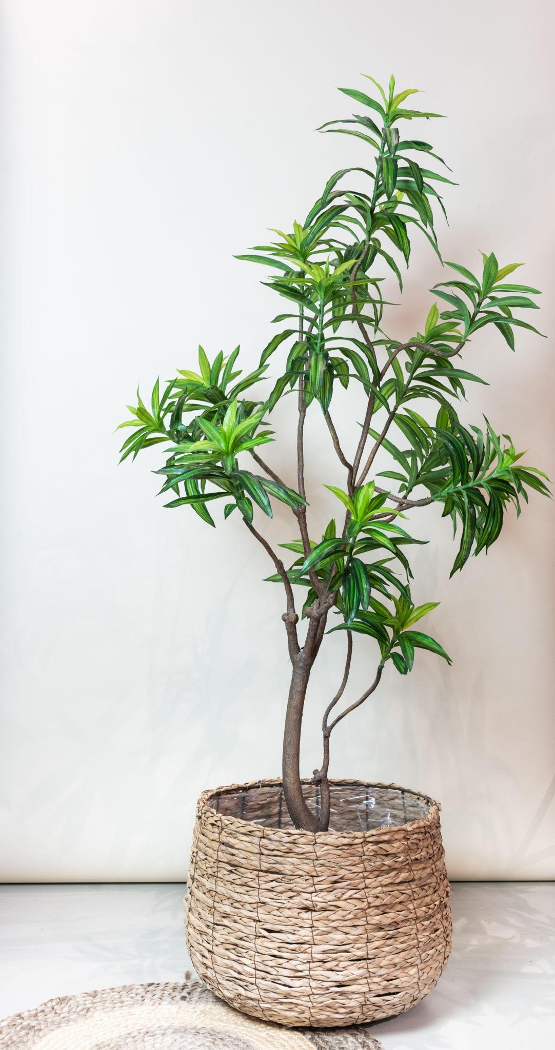 Artificial Tree - Dracaena - Dragon tree - 190 cm