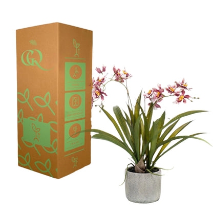 Artificial Orchid Plant   - Bordeaux Red - 45cm