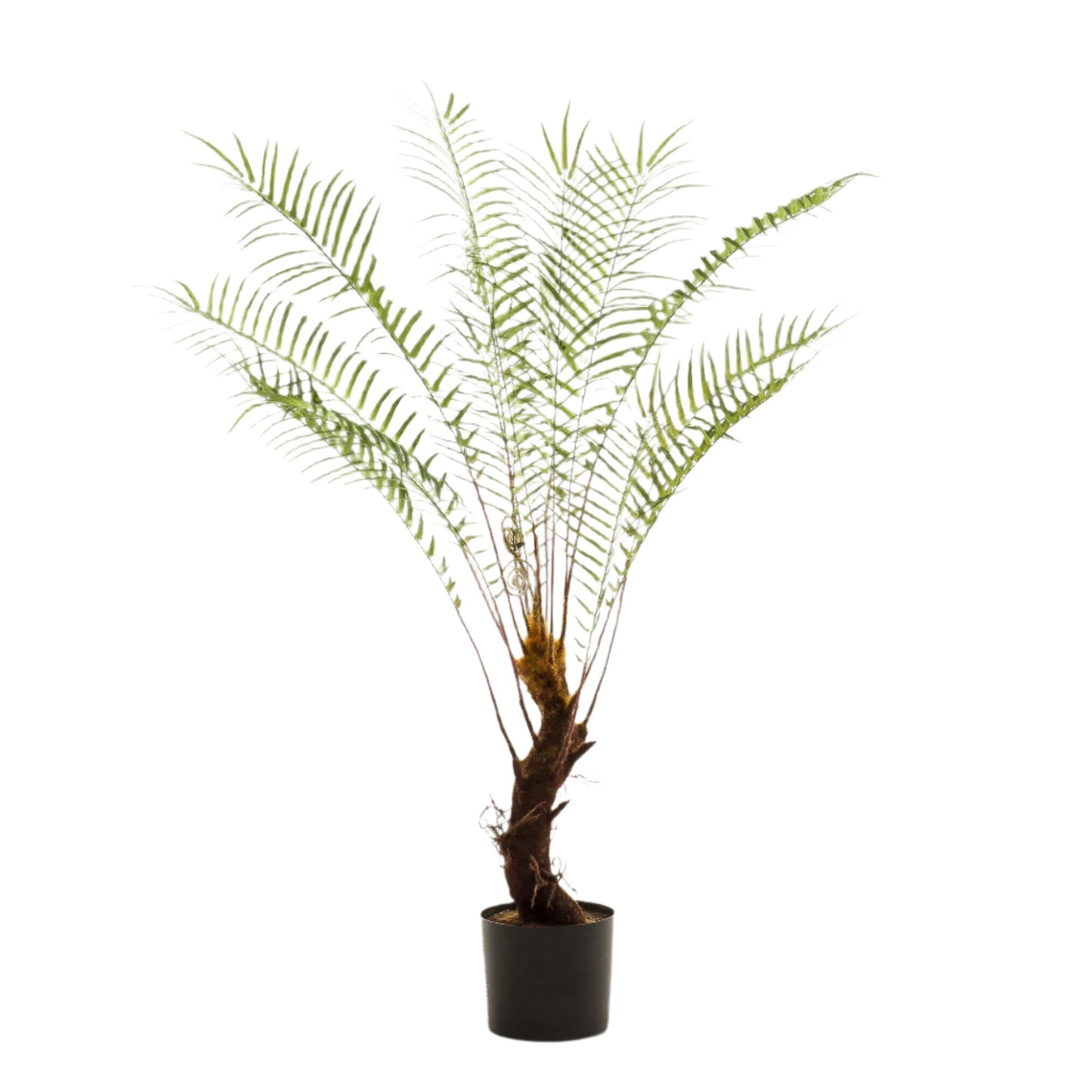 Artificial Fern Tree  - x15 -1 25cm