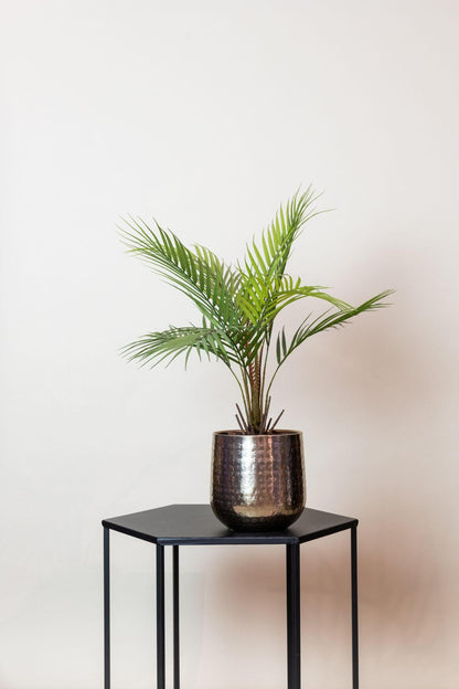 Artificial Plant - Chamaedorea Elegans - Berg Palm - 50 cm up to 85 cm