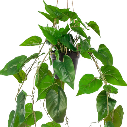 Kunstplant - Philodendron Scandens - 80 cm