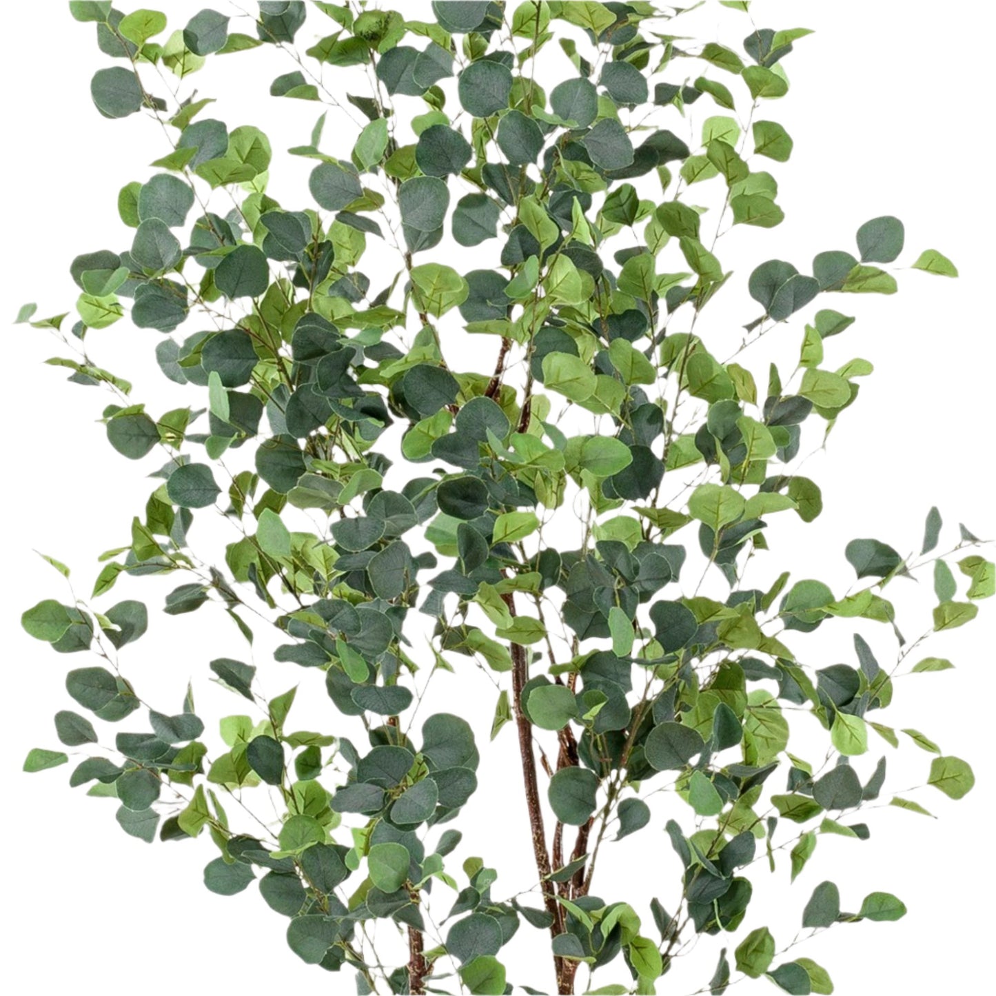 Artificial Tree - Eucalyptus - Blue Gum Tree - 180 cm