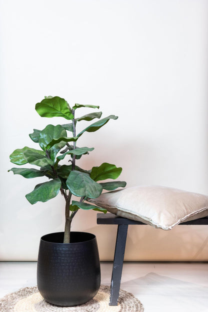 Artificial Tree - Ficus Lyrata - Tabacco Tree - 100 cm up to 180 cm