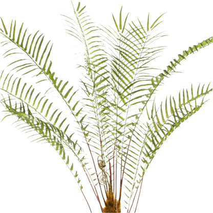 Artificial - Fern Tree - x15 -1 25cm