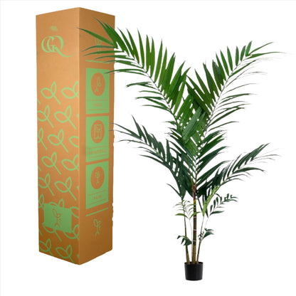 Artificial Tree - Kentia - Kentiapalm - 150 cm up to 180 cm