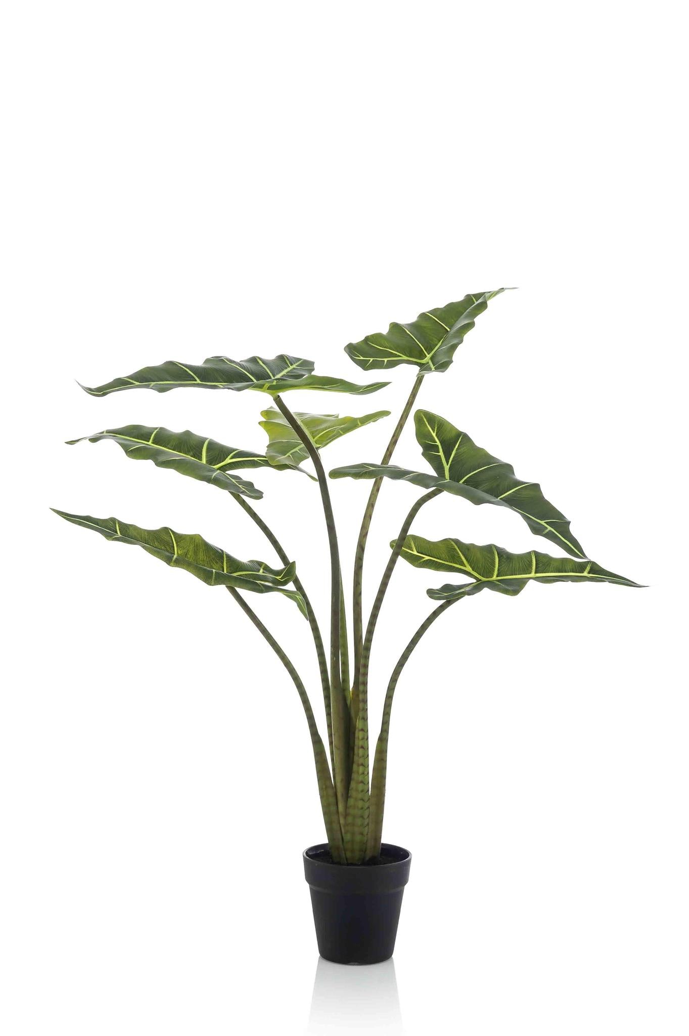 Artificial Plant - Alocasia Frydek - Elephants Ear Plant - 90 cm