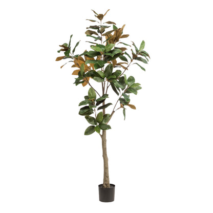 Artificial Tree - Magnolia Grandiflora - 180 cm