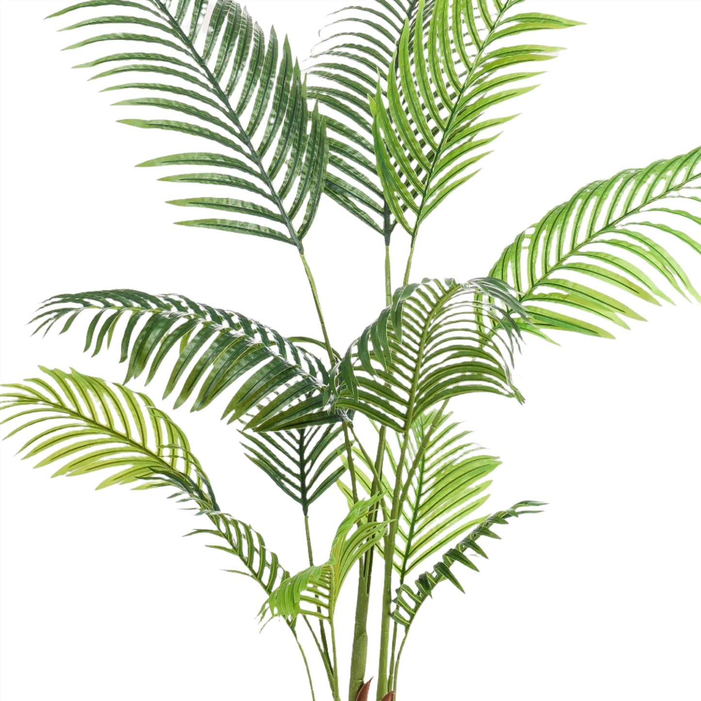 Artificial Tree - Howea Forsteriana - 140 cm up to 160 cm