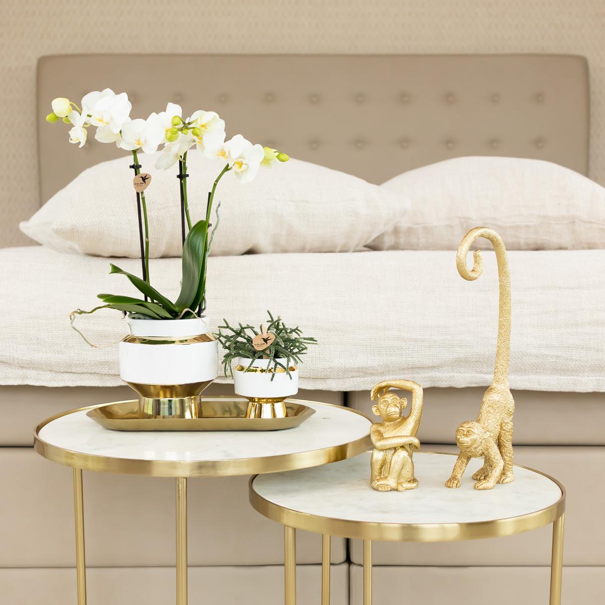 Le Chic Witte Keramische Decoratieve Pot met Gouden Details - Maat 6cm