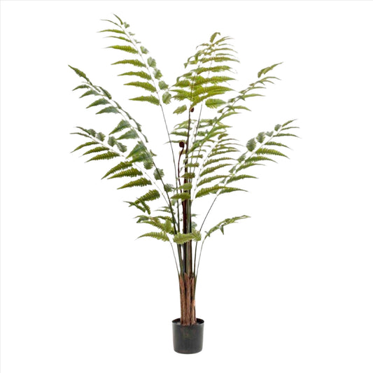 Artificial Plant - Rumohra Adiantiformis - Leather Fern - 150 cm