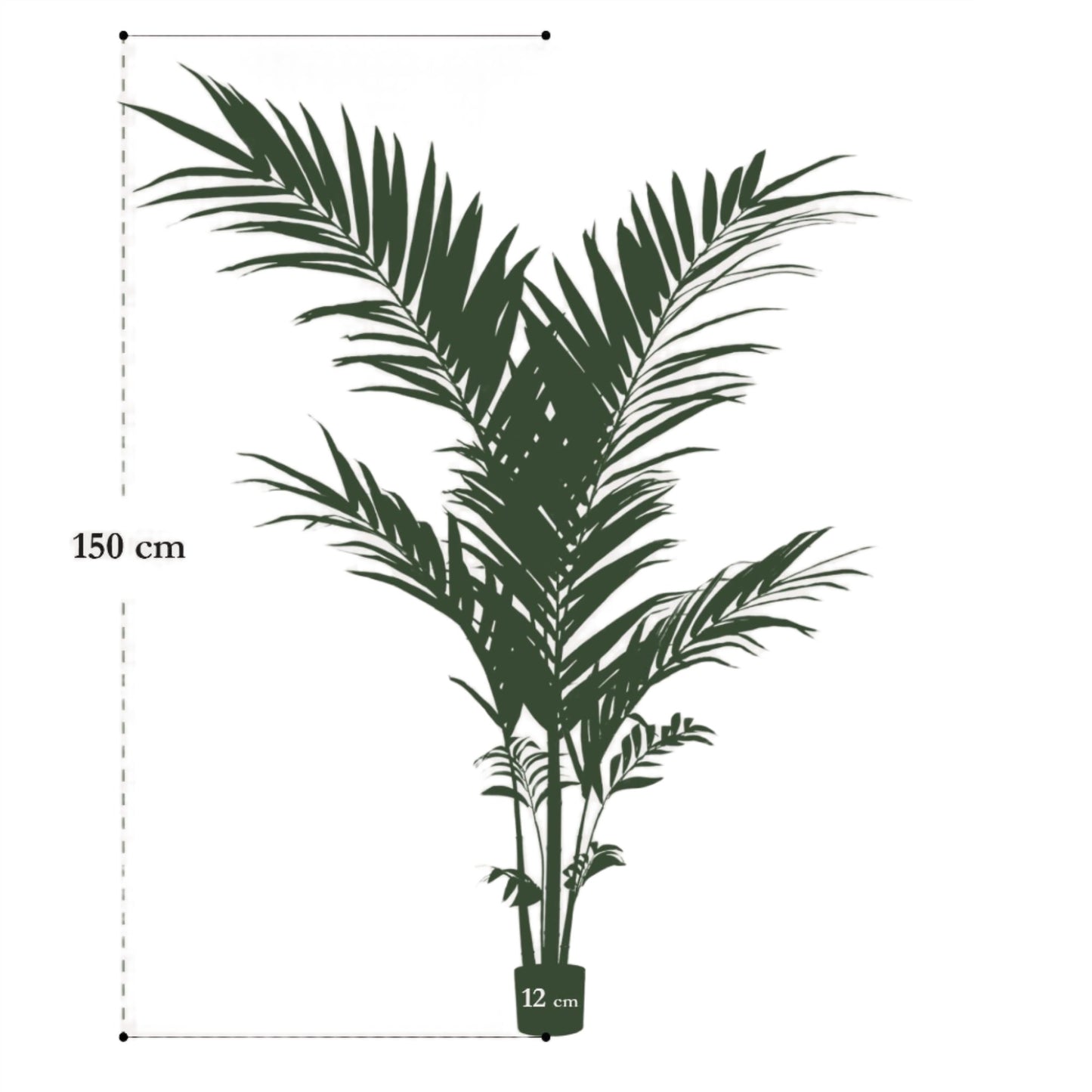 Artificial Tree - Kentia - Kentiapalm - 150 cm up to 180 cm