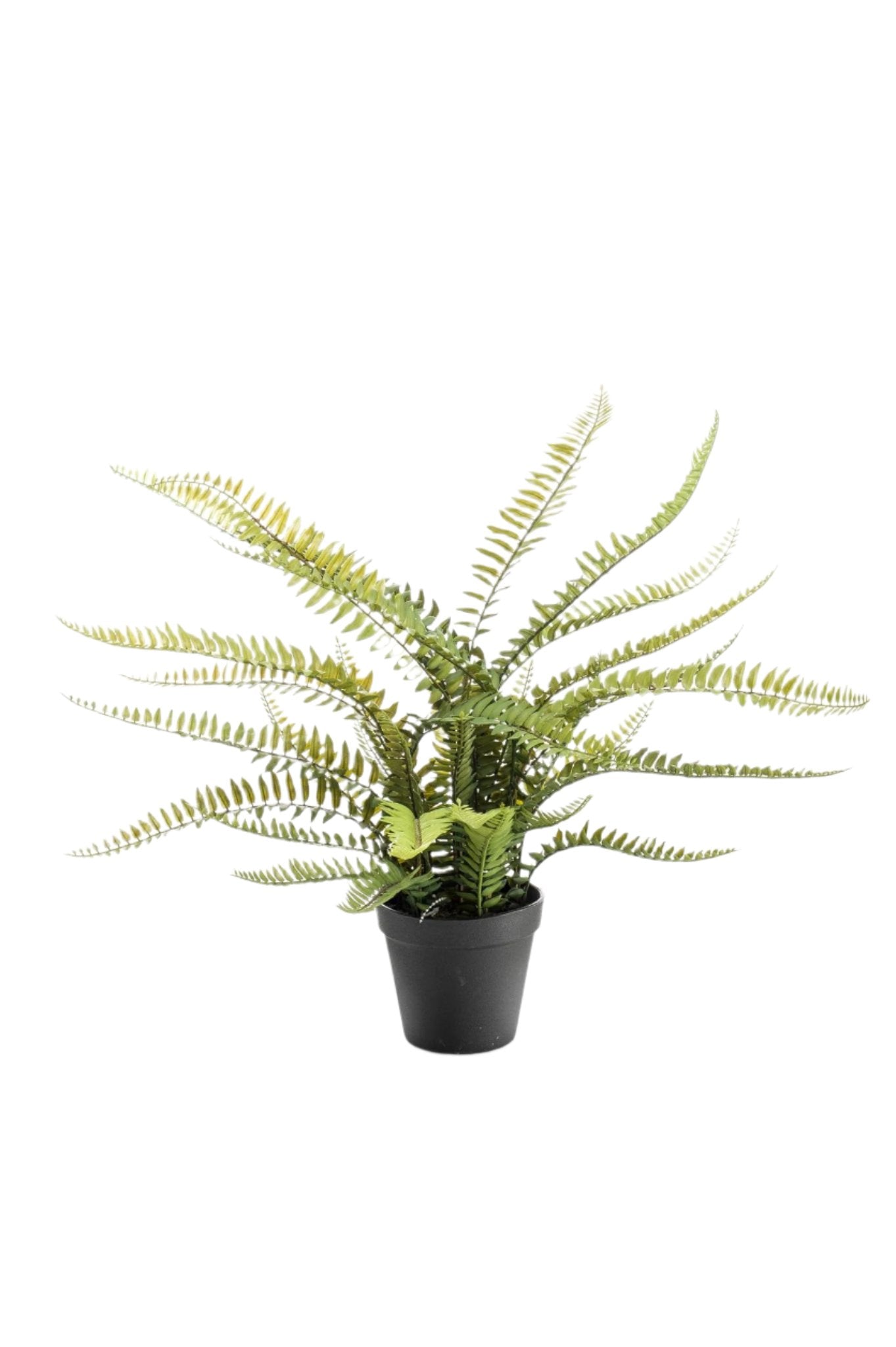 Artificial plant - Nephrolepis Exaltata - Boston Fern - 55 cm