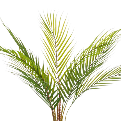 Artificial Plant - Chamaedorea Elegans - Berg Palm - 50 cm up to 85 cm