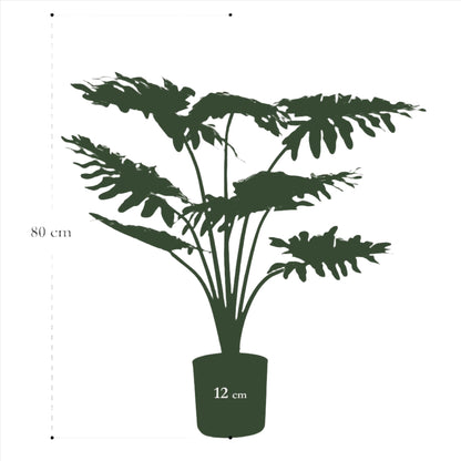 Artificial Plant - Philodendron - 75 cm