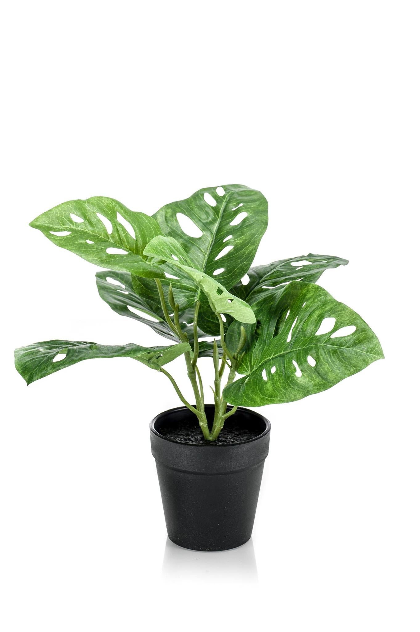 Artificial Plant - Monstera Monkey -  Small Hole Plant - 29 cm