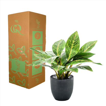 Planta artificial - Croton Codiaeum - Wonder Bush - 38 cm