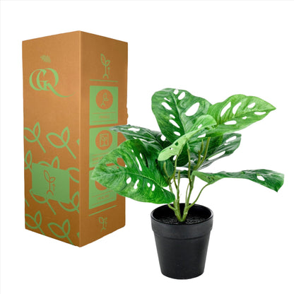 Artificial Plant - Monstera Monkey -  Small Hole Plant - 29 cm