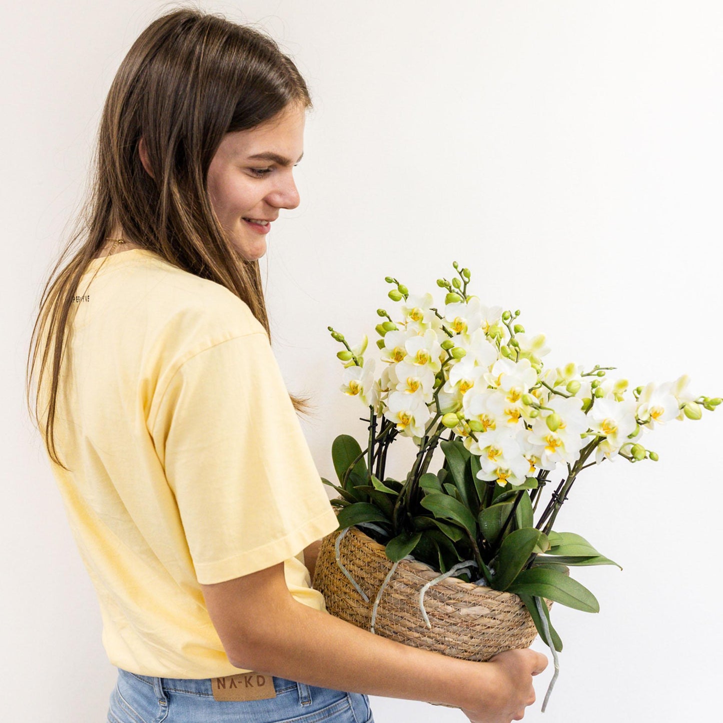 Conjunto de plantas blancas en cesta de juncos - Orquídeas Lausanne + Plantas verdes con depósito de agua