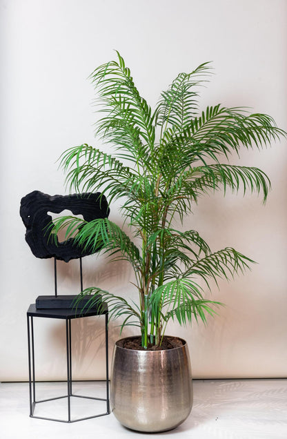 Árbol Artificial - Chamaedorea Elegans - Palmera - 120 cm hasta 180 cm