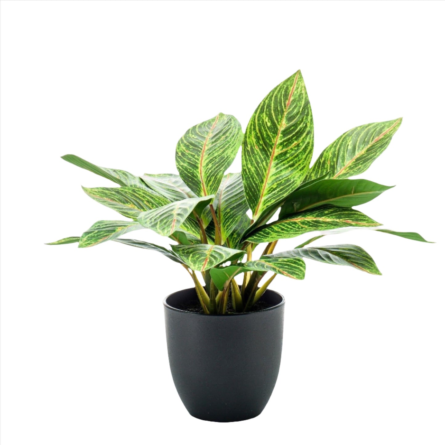 Planta artificial - Croton Codiaeum - Wonder Bush - 38 cm