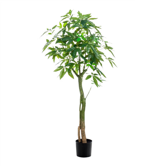 Artificial Tree - Pachira Aquatica - Money Tree - 150 cm up to 180 cm