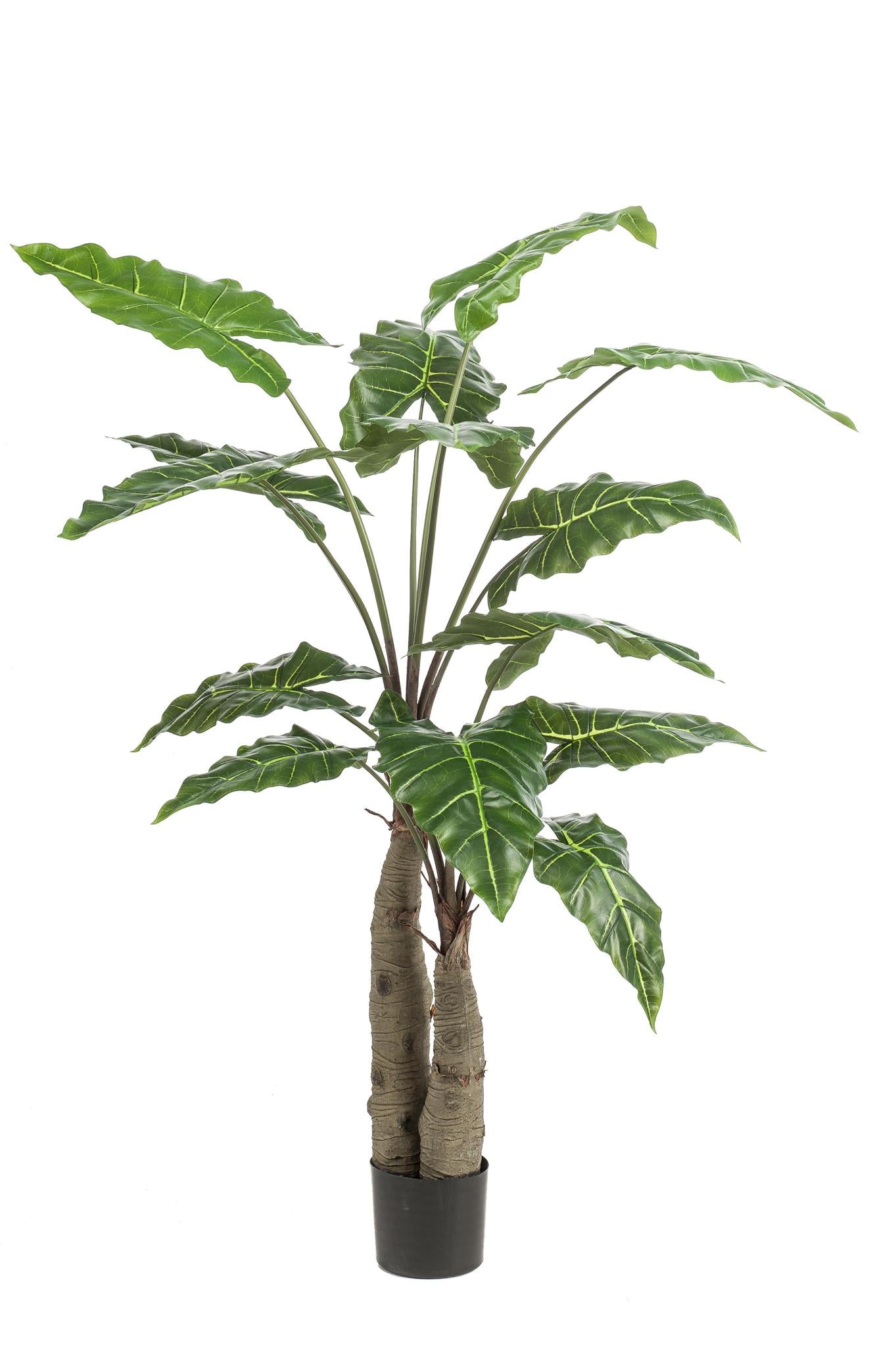 Kunstplant - Alocasia - Olifantsoorplant - 150 cm