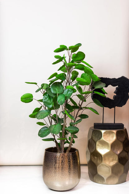 Artificial plant - Polyscias - Aralia - 105 cm