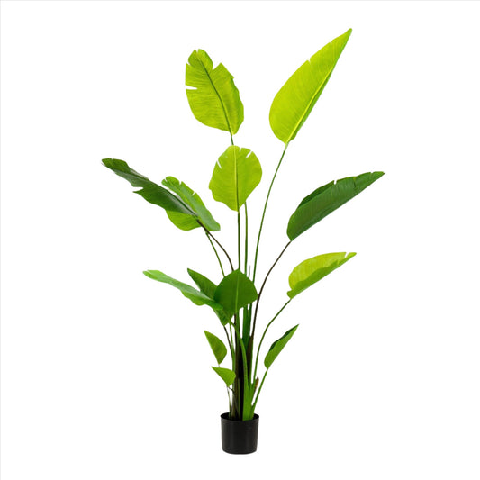 Artificial Plant - Strelitzia Nicolai - Bird of Paradise - 150 cm