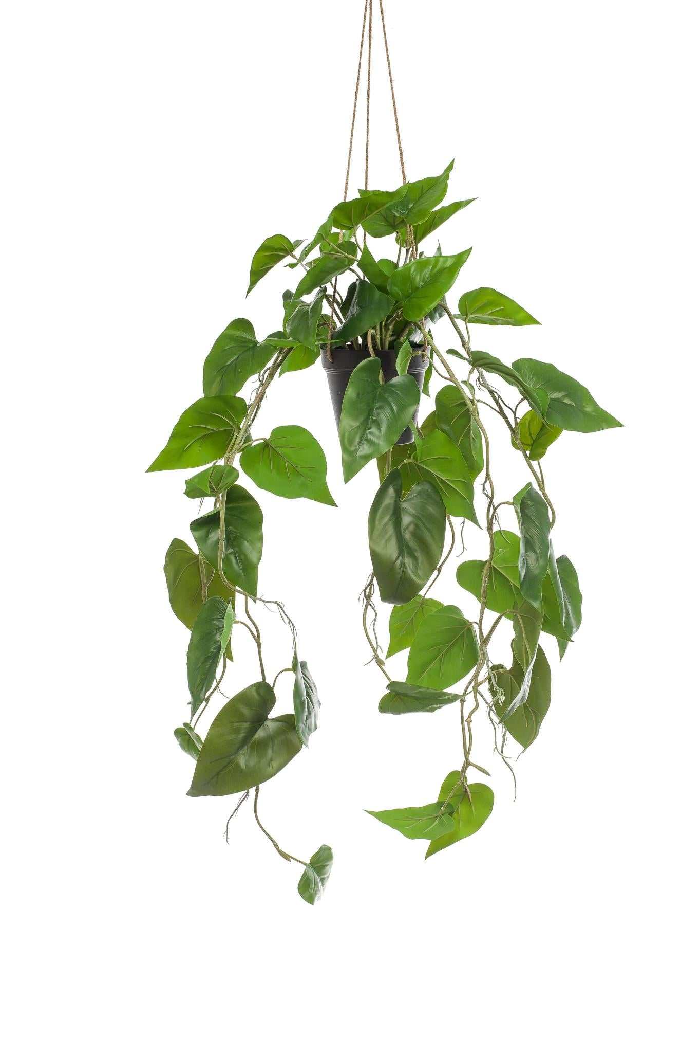 Kunstplant - Philodendron Scandens - 80 cm