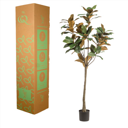 Árbol de magnolia artificial Grandiflora - 150 cm