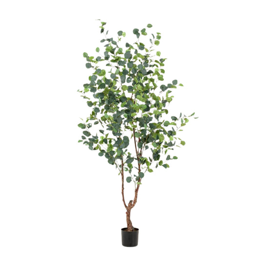 Artificial Tree - Eucalyptus - Blue Gum Tree - 180 cm