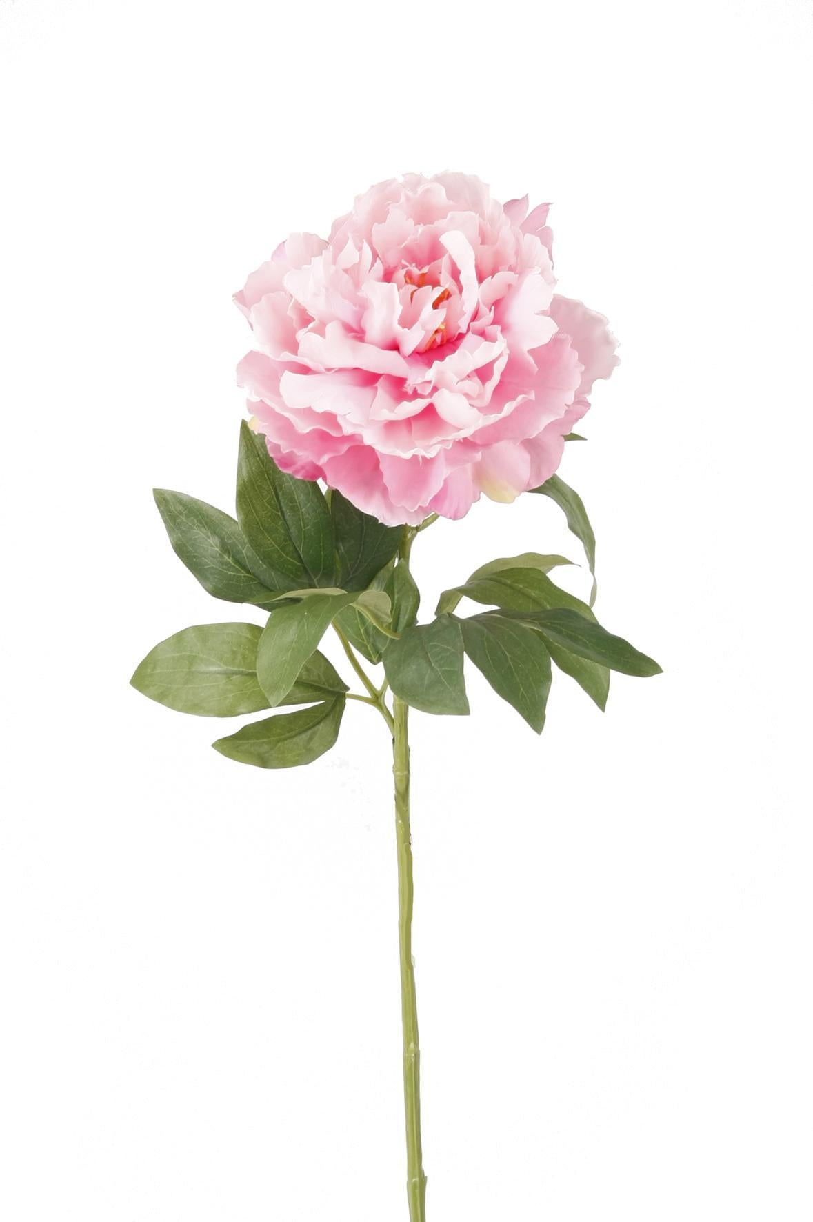 Artificial Flowers Solo - Light Pink - Peonies - x 5 - 65cm