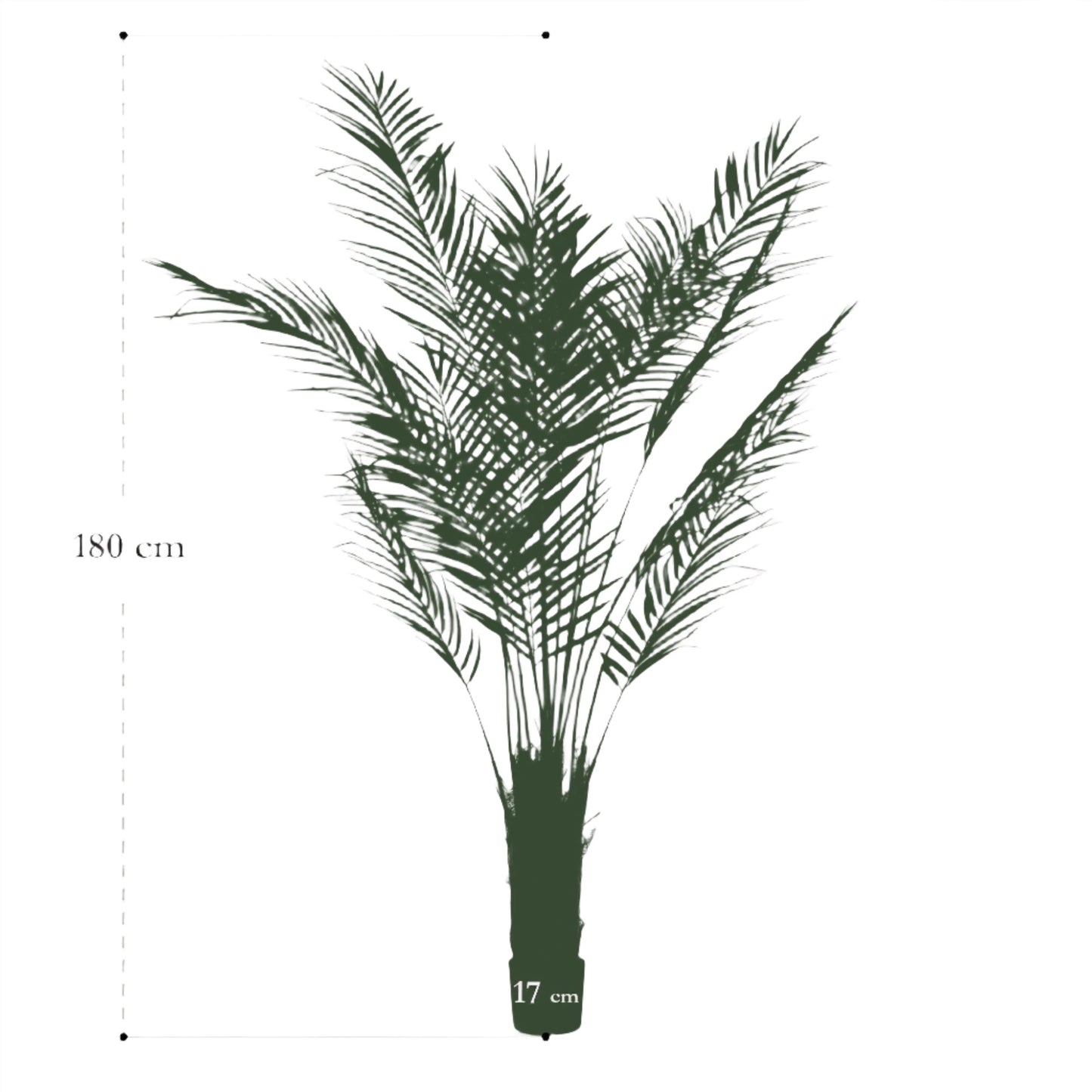 Artificial Tree - Areca Lutescens - Gold palm - 180 cm