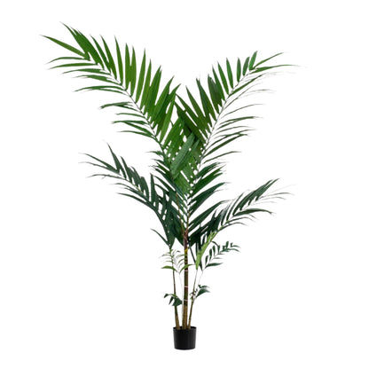 Artificial Tree - Kentia - Kentiapalm - 150 cm up to 180 cm