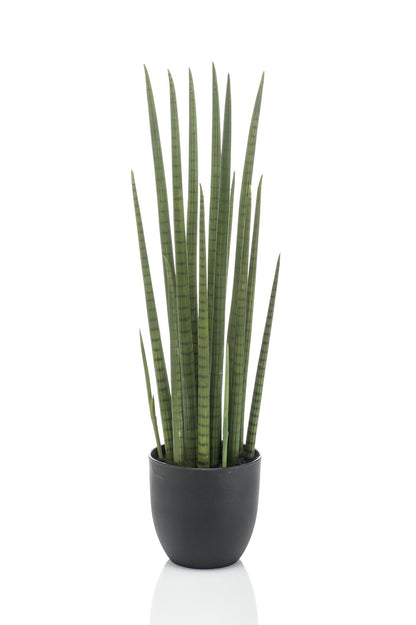 Artificial Plant - Sanseveria Cylindrica - Vrouwentong - 70 cm